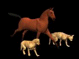 programming
